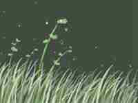 揭秘这些情况下适合用五帝钱-八字网(什么情况下用五帝钱)