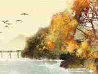 女子旺夫八字特征