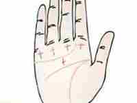 关于感情线尾部有十字纹的解释-八字网(感情线尾部有十字纹图解)