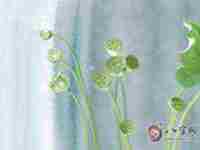 房子有虎口煞要怎么才能化解-八字网(房子虎口煞对别人不好还是对自己家不好)