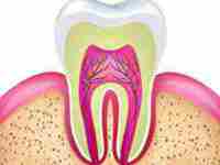 话说32颗牙齿究竟是怎么一回事呢-八字网(32颗牙齿说明什么)