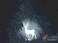 八字轻的人日常要注意什么-八字网(八字轻的人怎么化解)