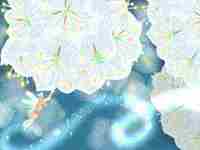 惊蛰节气最大的特点是什么(惊蛰节气最大的特点是什么)