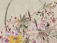 96鼠和97牛生个什么属相的宝宝好(96男鼠97女牛婚配解析)