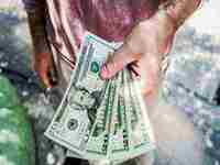 梦见猴子往自己身上扑(女人梦见猴子往自己身上扑)