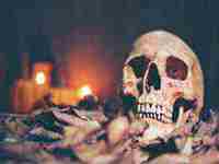 梦见被马蜂蛰了预示什么(梦见被马蜂蛰了预示什么意思)