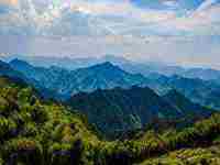 梦见瘫痪在床的亲人能走路了(梦见瘫痪在床的亲人能走路了解梦)