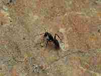 梦见煤气起火是什么兆头(孕妇梦见煤气起火是什么兆头)