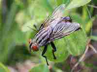 已婚女人梦见别人哭(已婚女人梦见别人哭丧)