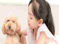 梦见水和大船什么预兆(梦见水5种征兆要发财)