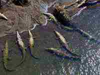 梦见住进又大又豪华的房子里(梦见住进又大又豪华的房子里还请了阿姨)