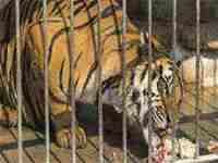 梦见美女喜欢上我(梦见美女喜欢我跟着我)