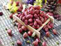 女人梦见已故亲人复活并说话还很高兴(女人梦见已故亲人复活并说话)