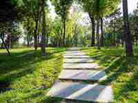 梦见迷路了后有人又给你指路了(梦见迷路了后有人又给你指路了)