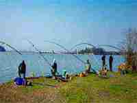 梦见和别人一起捞鱼(梦见和别人一起捞鱼是什么意思)