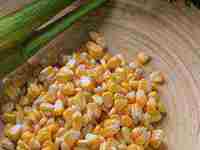 梦见摘桔子吃是什么意思(孕妇梦见摘桔子吃是什么意思)