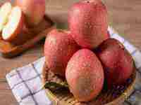 梦见水井淹死的猫(梦见水井淹死的猫什么意思)