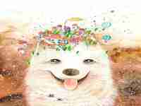 1994属狗2022年运势及运程详解(属狗2022年运势及运程详解)