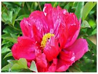 姻缘将至的前兆梦(姻缘将至的前兆梦,正姻缘出现是有预兆的意思吗)