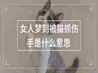 女人梦到车被刮了是什么意思啊(女人梦到车被刮了是什么意思)