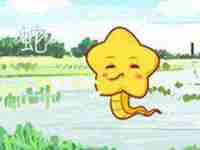 姻缘测试属蛇的女人与属猴男八字好吗对吗(姻缘测试属蛇的女人与属猴男八字好吗)