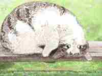 刘姓取名字大全女孩(刘姓取名字大全)