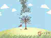 八字纯阴如何化解(八字纯阴什么样)