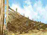 伤官见官八字必须有财星正印(伤官见官八字必须有财星)