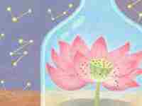 破月最简单的化解方法(女人破月有什么害处)