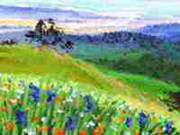 伤官见官的化解方式(伤官见官的化解)