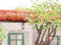 【生辰八字解析】2021年新生儿利官近贵