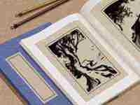 适合取名字的带草字头的字(给孩子起名带草字头的字)