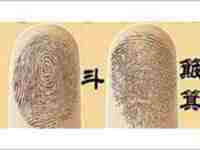 指纹八个斗女人好不好(解析指纹上有八个斗的男人感情状况)