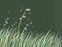 苦情痣的传说是怎么来的(关于苦情痣你们知道该怎么化解吗)