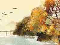 女子旺夫八字特征有哪些(女子旺夫八字特征)