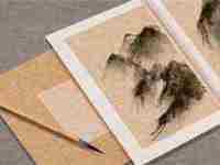 独特的网络公司名字有哪些(独特的网络公司名字)