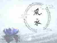 水木伤官格大贵之八字(什么叫做水木伤官格)