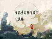 梦见着急赶飞机什么预兆解梦(梦见着急赶飞机什么预兆)