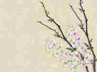 建筑公司取名字参考大全 三个字(建筑公司取名字参考大全)