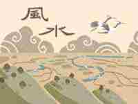 办公室养花的风水(办公室养花风水与五行八卦有什么联系)