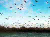 八字看第二次婚姻配偶出现时间(八字分析你还不会有第二次婚姻呢)