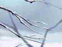 八字排盘怎么看结婚时间和姻缘关系(八字排盘怎么看结婚时间和姻缘)