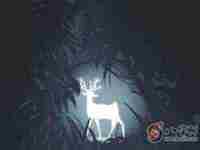 八字轻的人日常要注意什么呢(八字轻的人日常要注意什么)