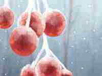 怎么可以看两个人的八字合不合婚(怎么查俩人八字合不合免费)