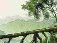 八字合是什么意思(八字庚金是什么意思)