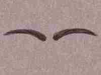 缺乏恒心是什么意思(缺乏恒心)