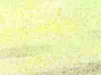 八卦镜挂哪里好(八卦镜能挂几个)