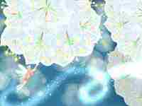 春分节气最大的特点是什么呢(惊蛰节气最大的特点是什么)