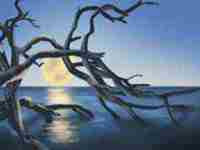 有钱男人面相解读视频(有钱男人面相解读)