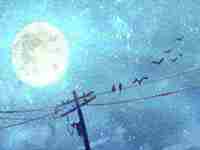 2021年兔和蛇(2022年兔和蛇感情是否会波折)